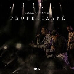 Cover of Profetizaré