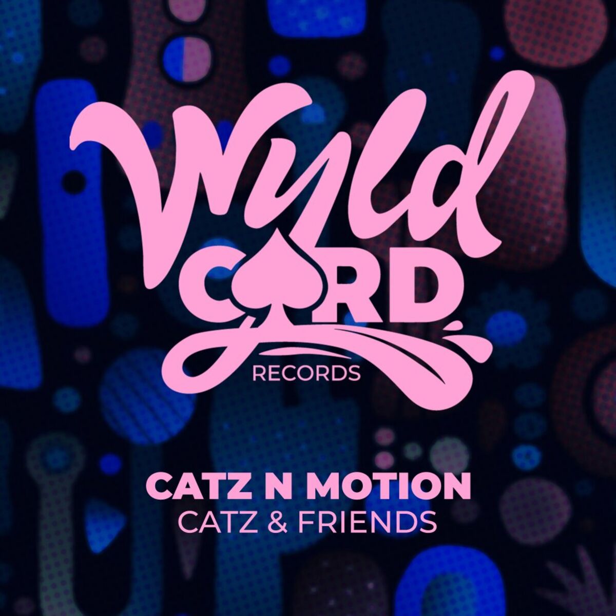 Album cover of Catz & Friends