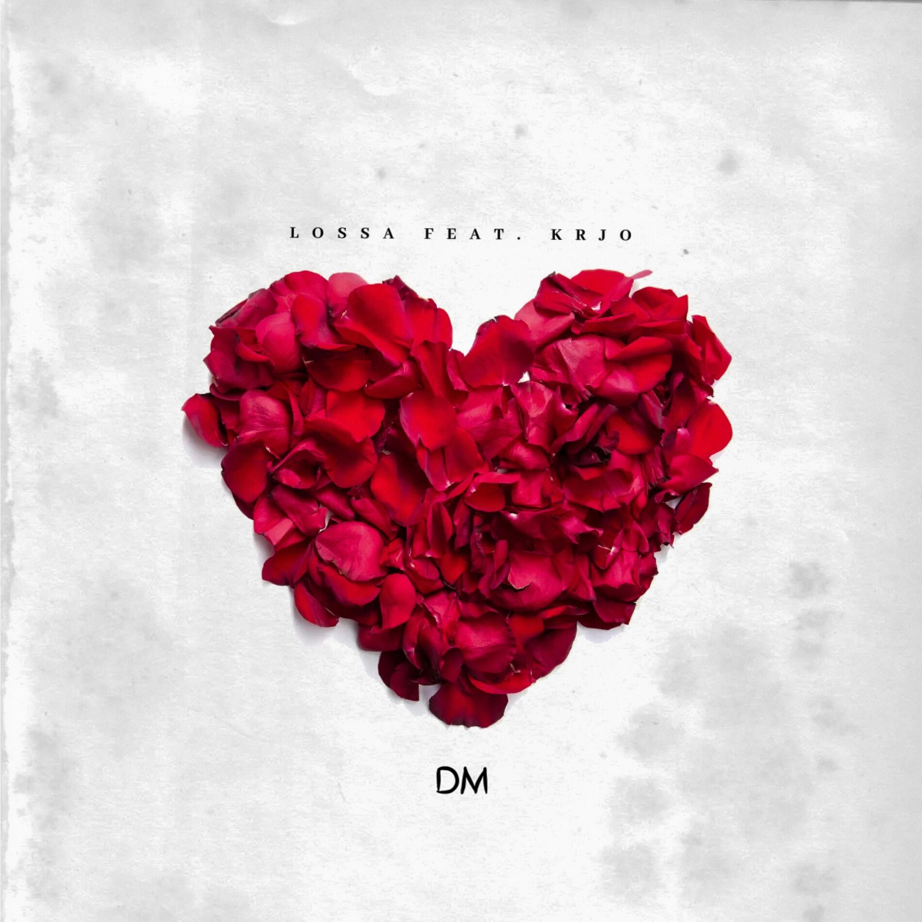Album cover of DM (feat. Krjo)