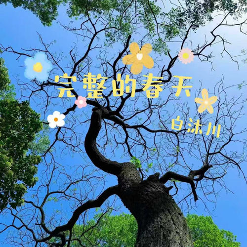 完整的春天