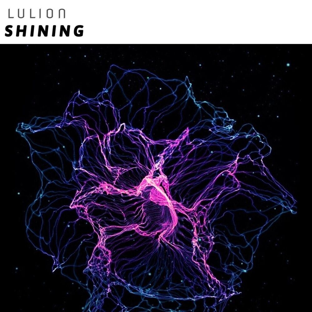 Picture of Shining