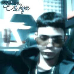 Cover of Liga