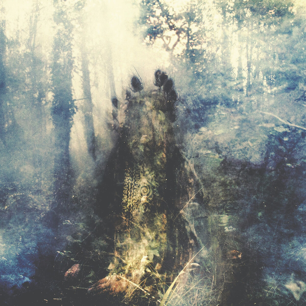 Album cover of Delusions