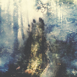 Cover of Wistful