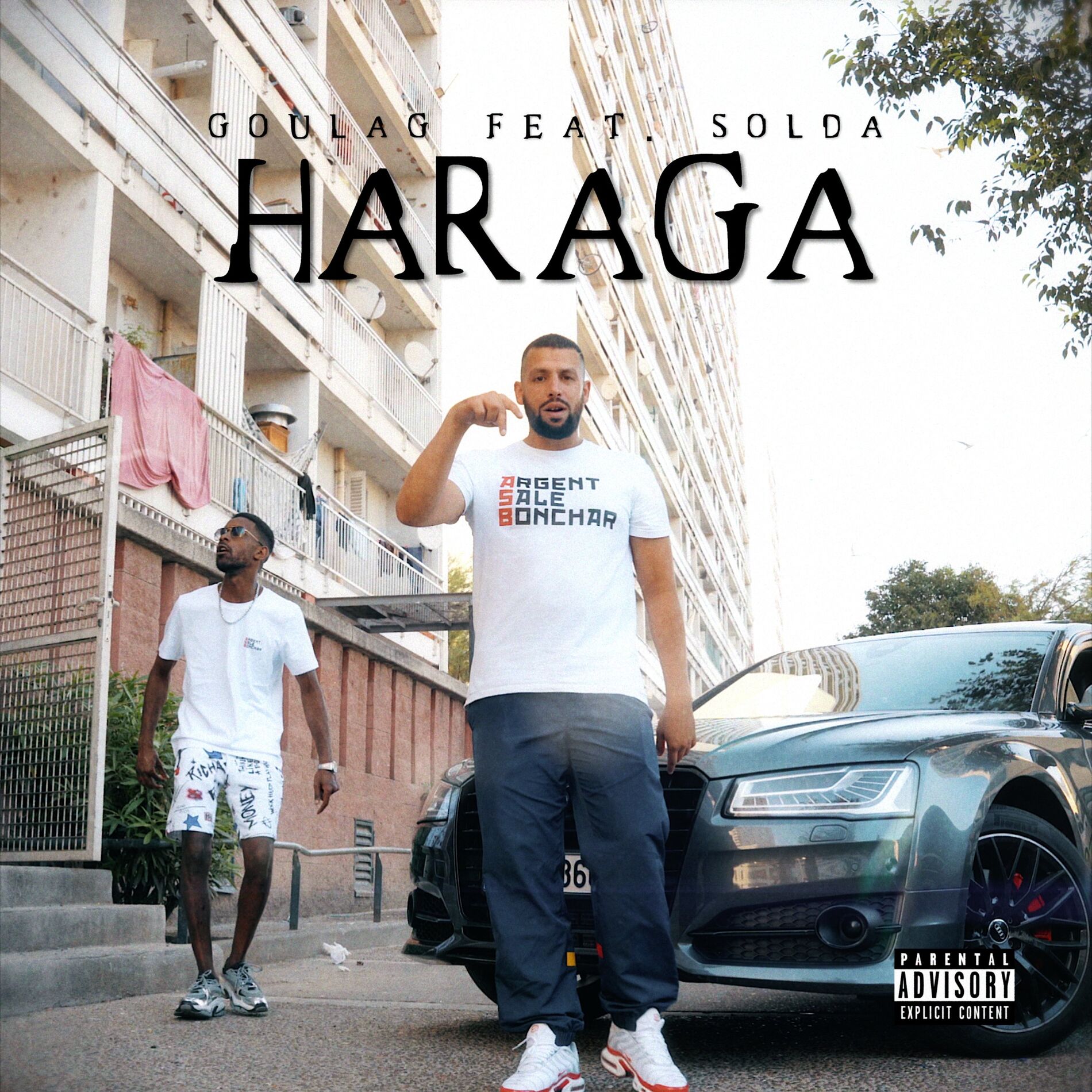 Album cover of Haraga