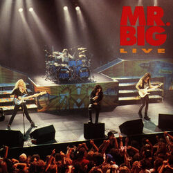 Cover of Mr. Big Live