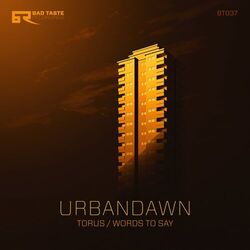 Cover of Torus / Words to Say