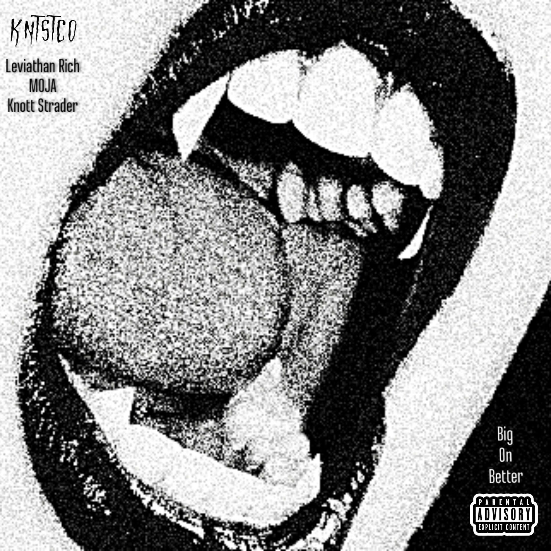 Album cover of Big On Better