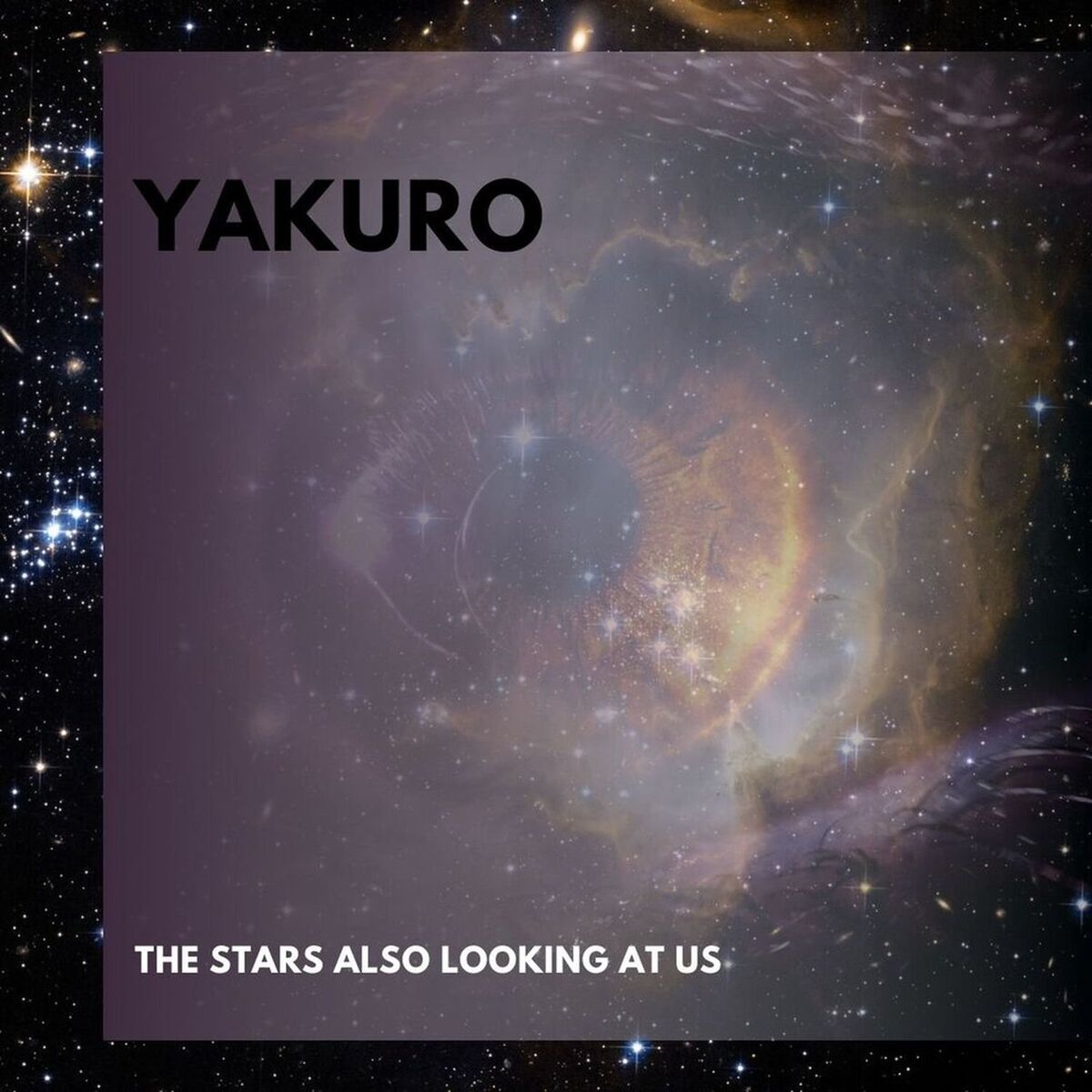 Album cover of The Stars Also Looking at Us