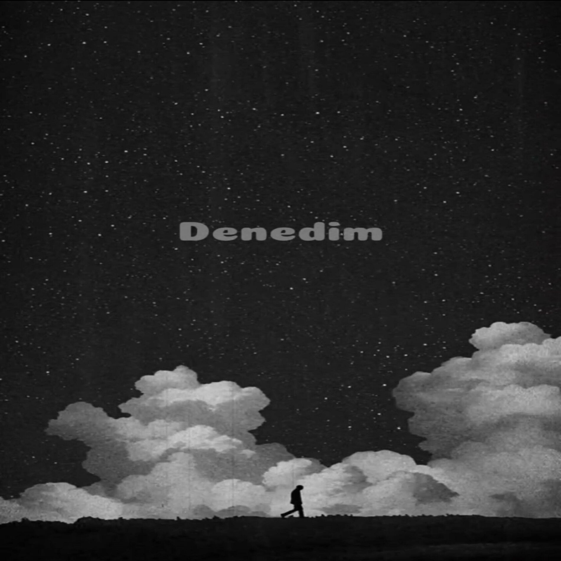 Album cover of DENEDİM