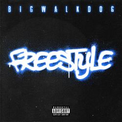 Cover of Freestyle