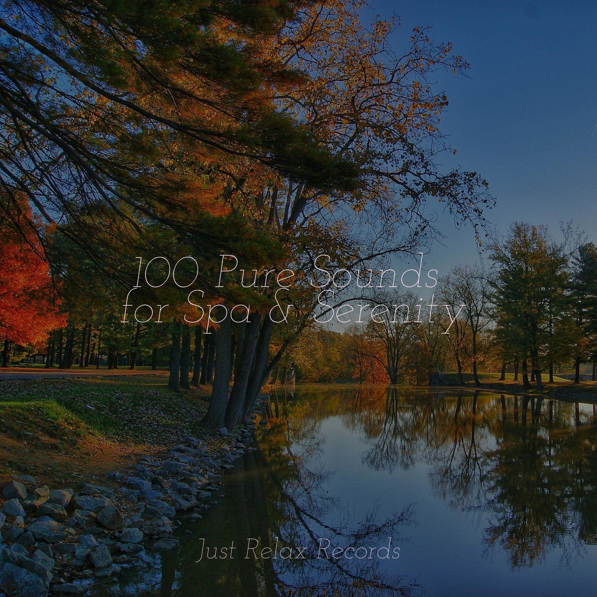 Album cover of 100 Pure Sounds for Spa & Serenity