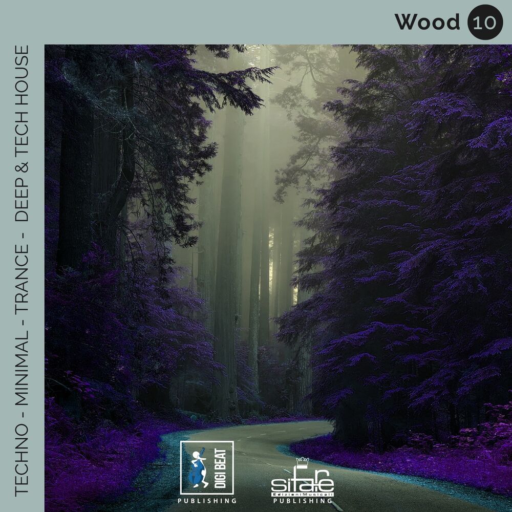 Picture of Wood 10 (Techno Minimal Trance Deep and Tech House Remix)