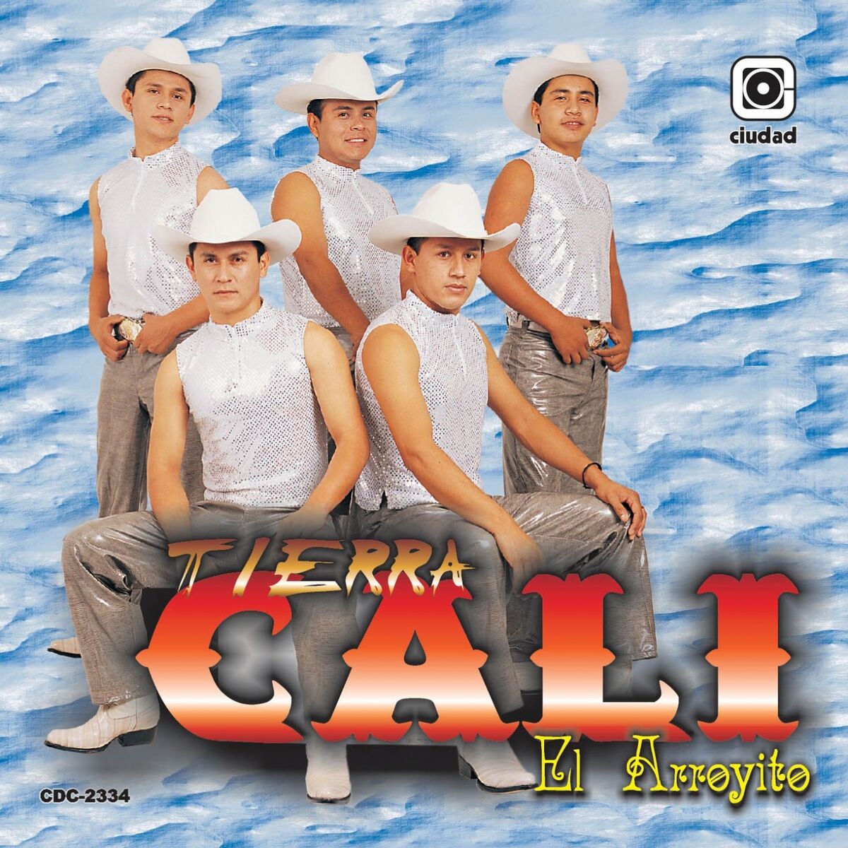 Album cover of El Arroyito (Los Creadores del Sacadito)