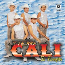 Cover of El Arroyito (Los Creadores del Sacadito)