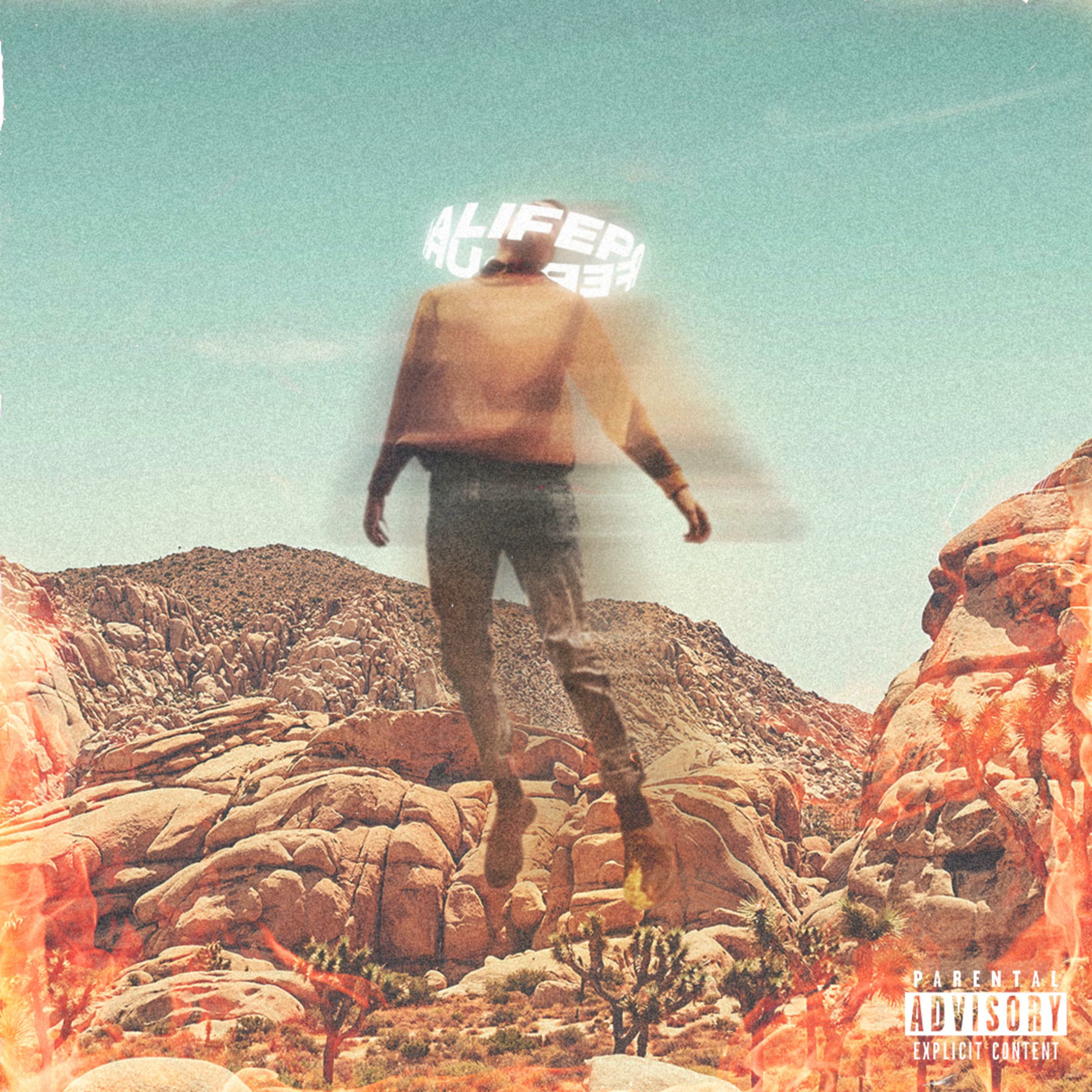 Album cover of Pour La Life