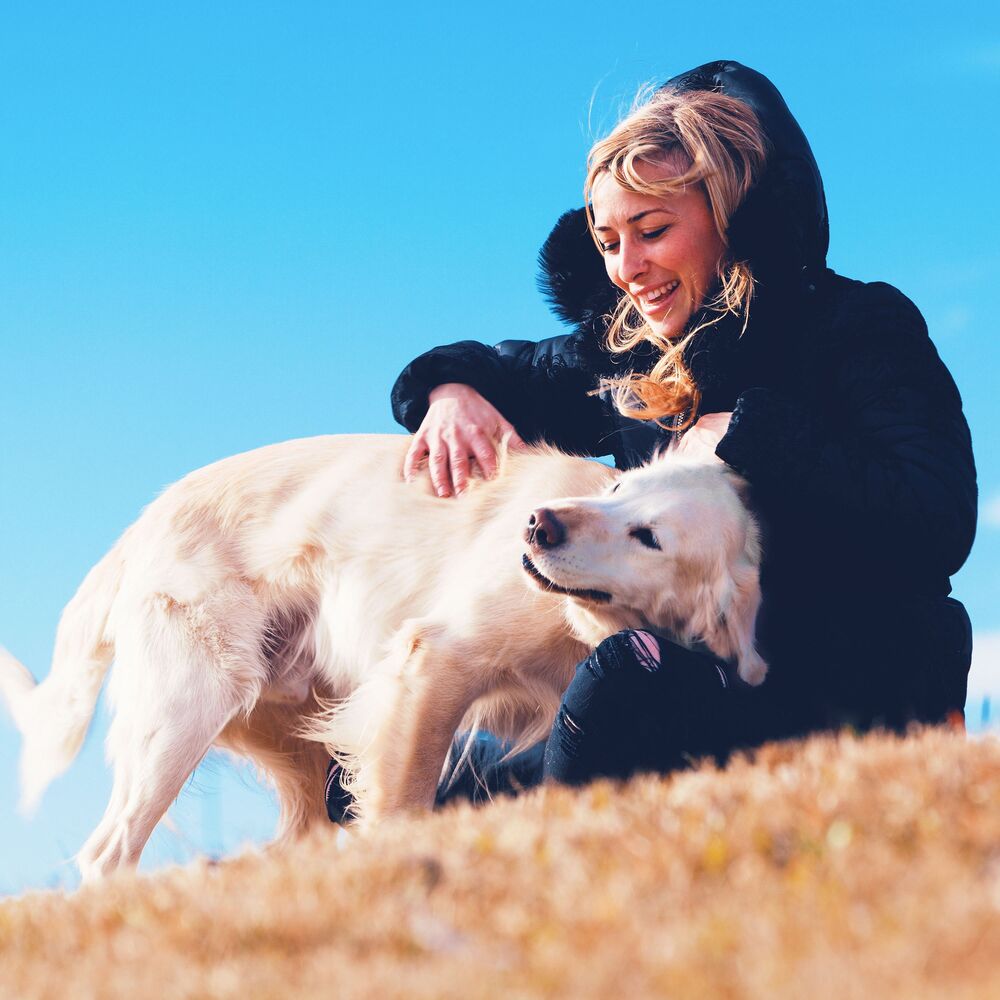 Picture of Pet Zen: Calming Meditation Melodies for Animals