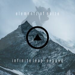 Cover of Infinite Leap (Second)
