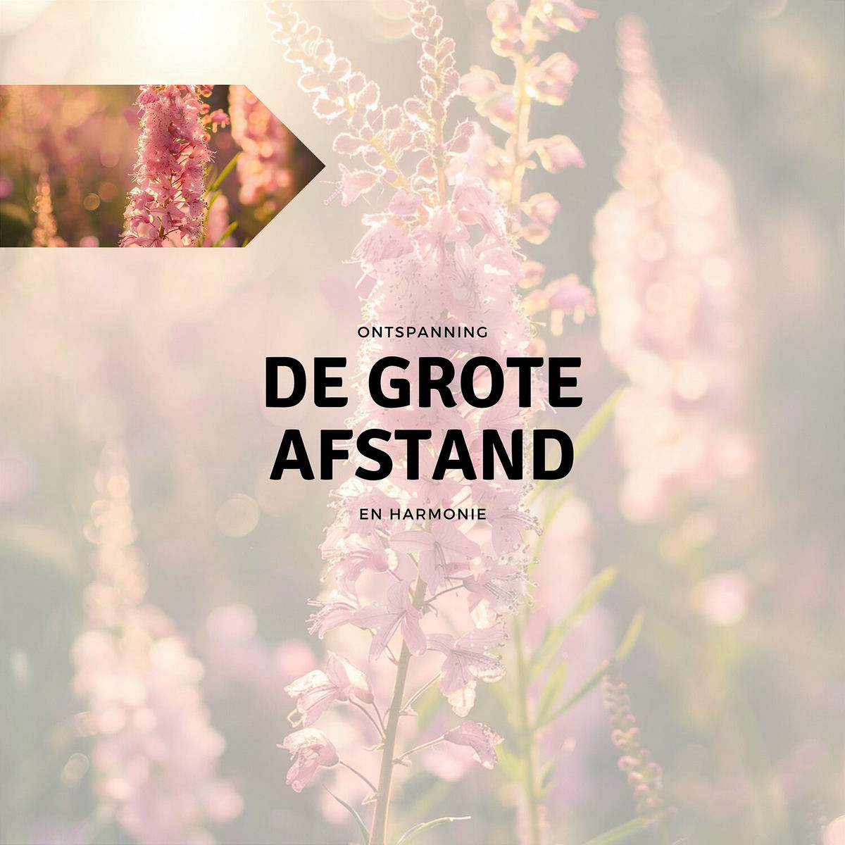 Album cover of De Grote Afstand