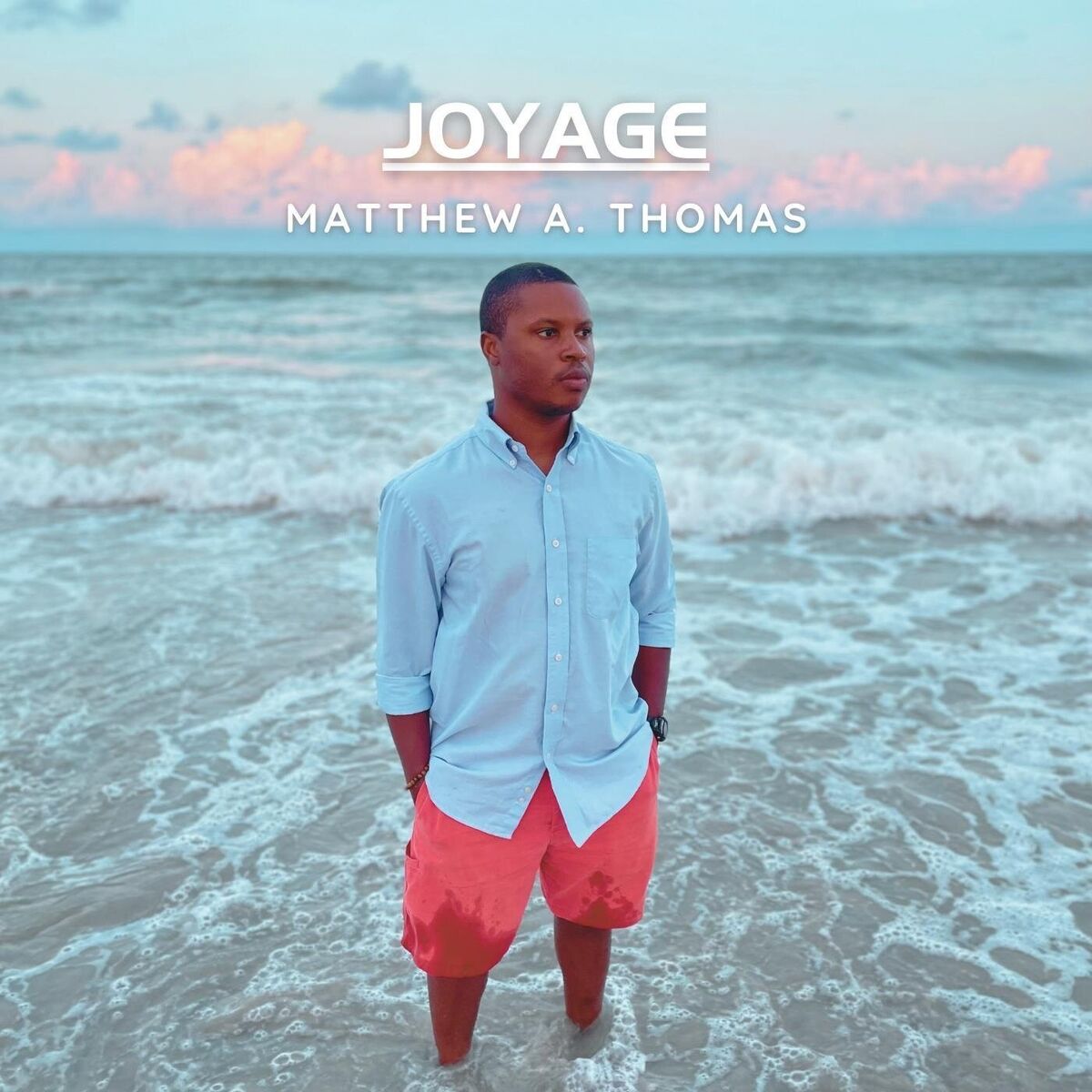 Album cover of Joyage