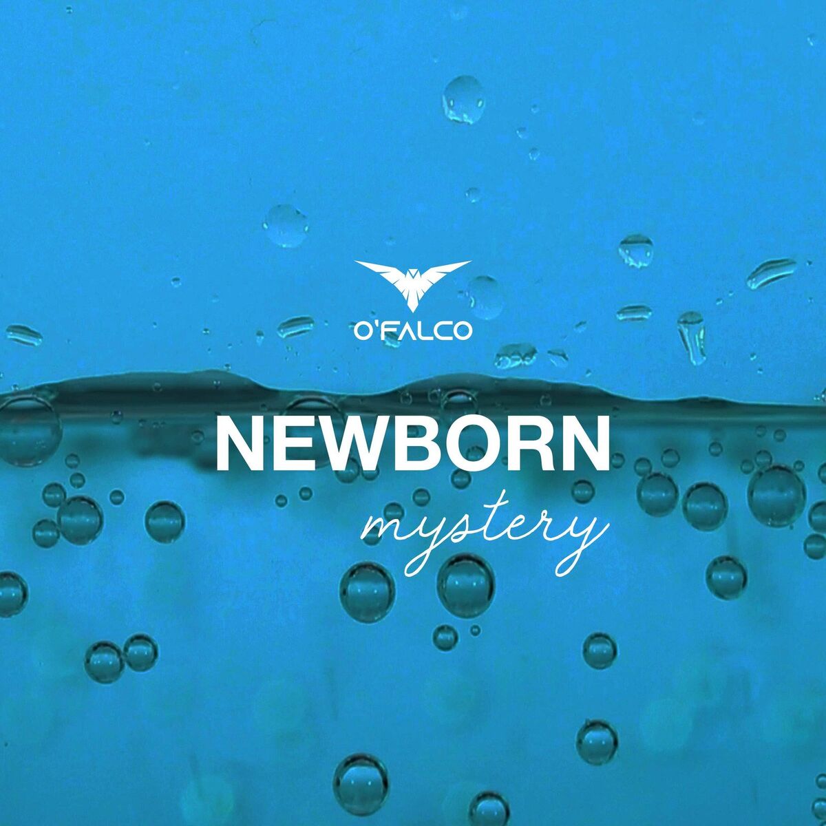 Album cover of Newborn (Mystery)