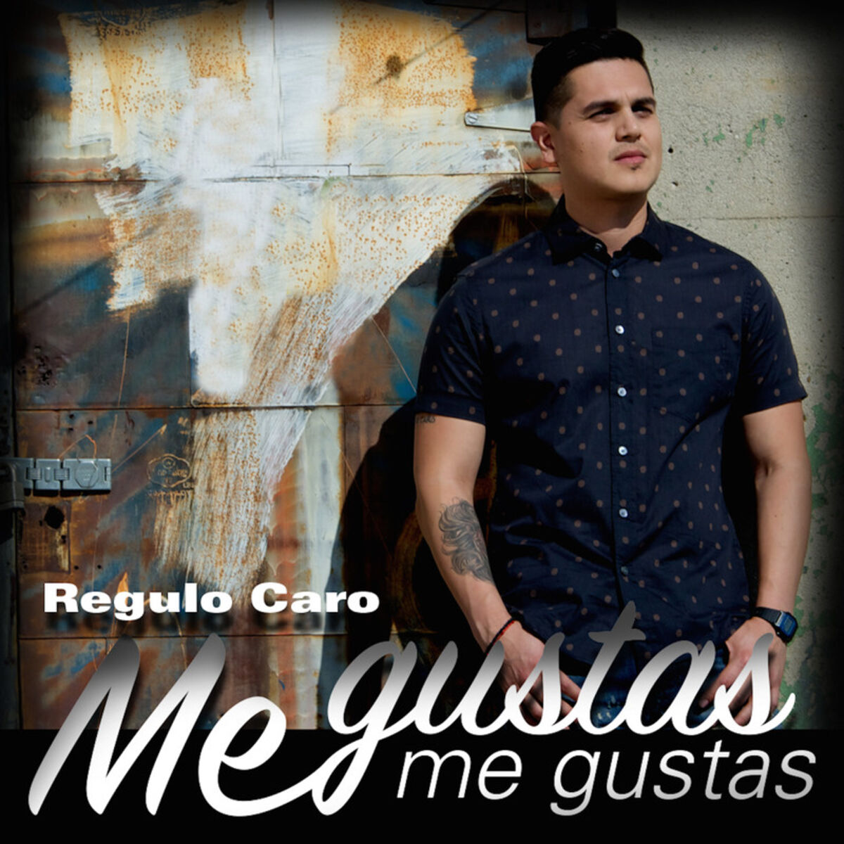 Album picture of Me Gustas Me Gustas