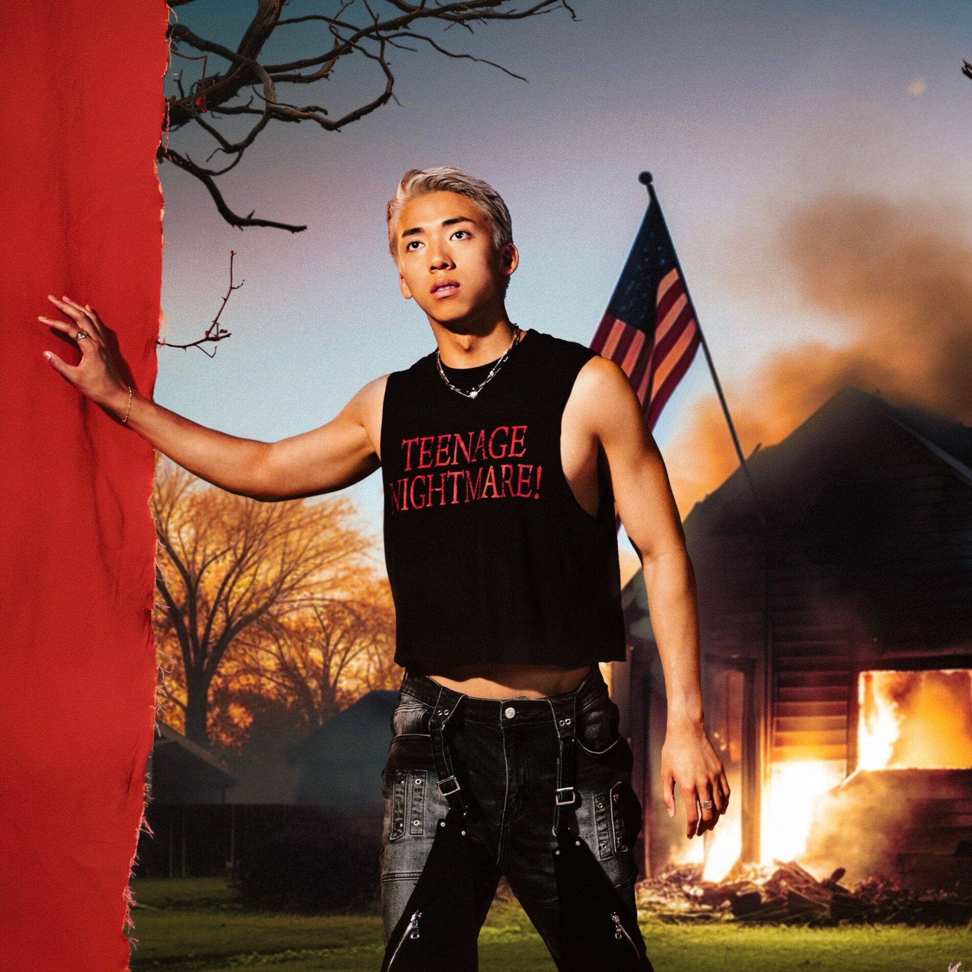 Album cover of teenage nightmare