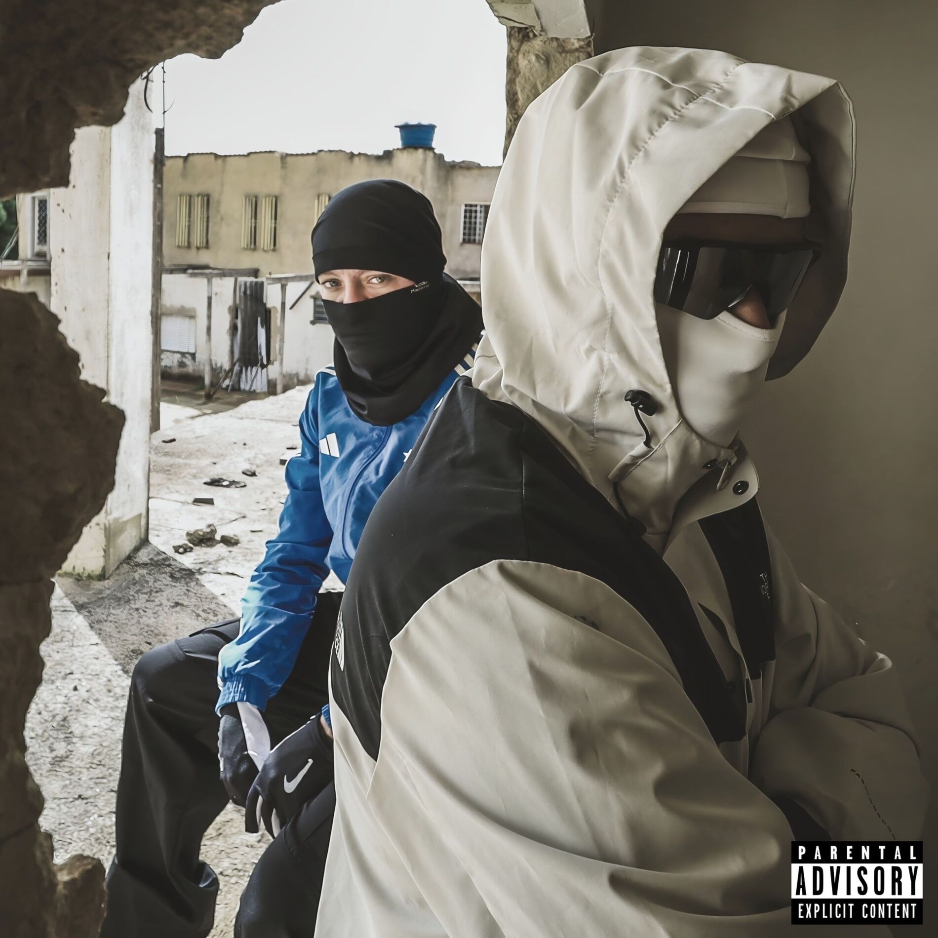 Album cover of Braço falso