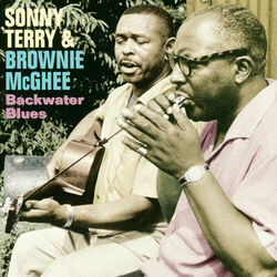 Cover of Backwater Blues