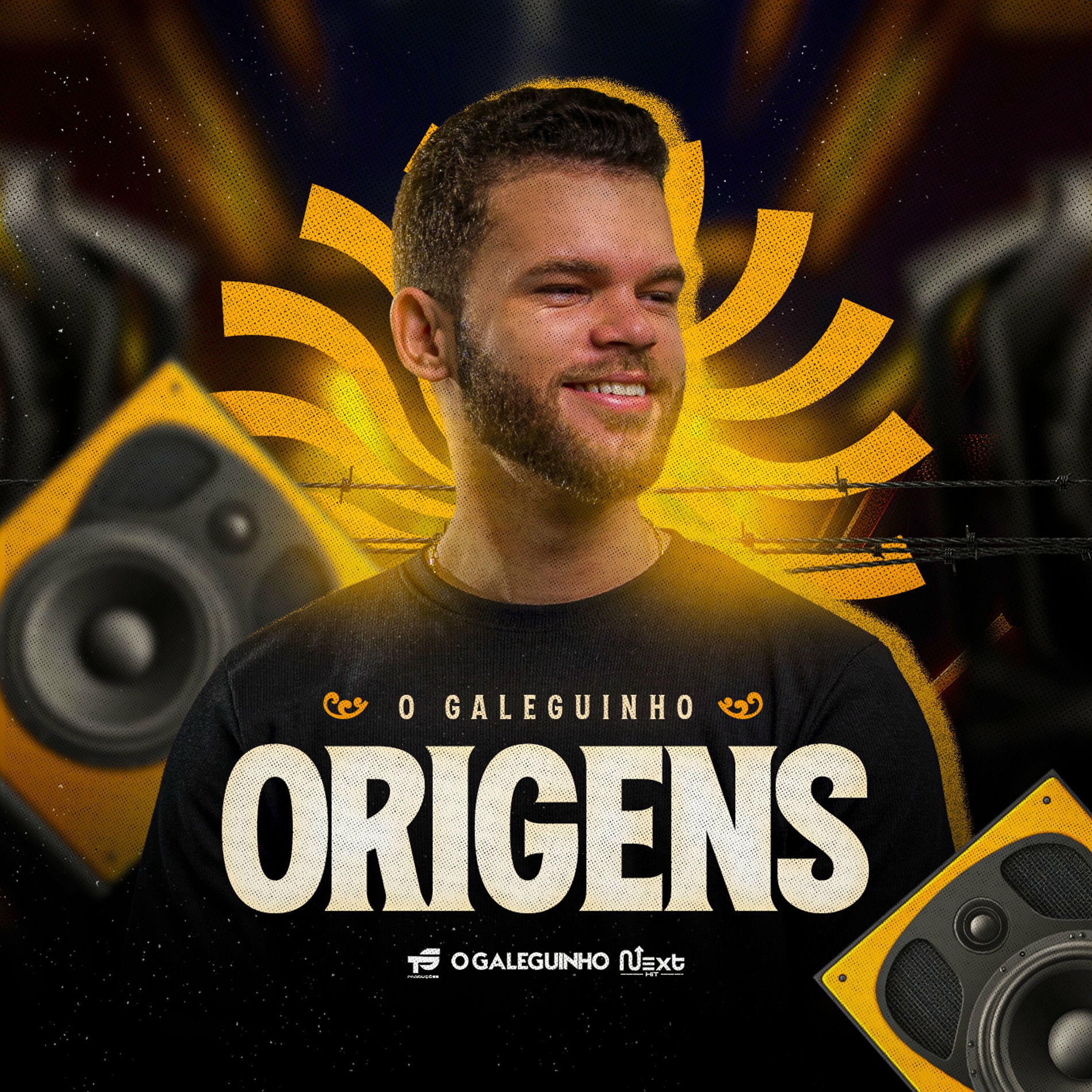 Album cover of De Volta as Origens