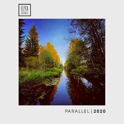 Cover of Parallel