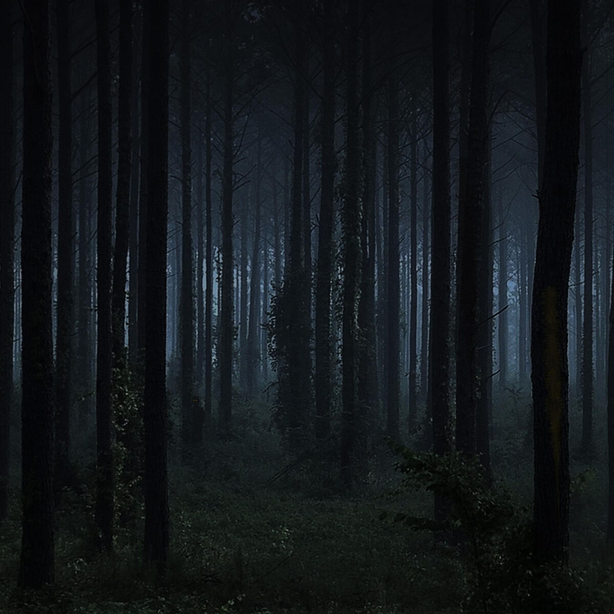 Album cover of Shadow People