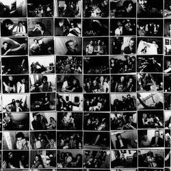 Cover of Live Seeds