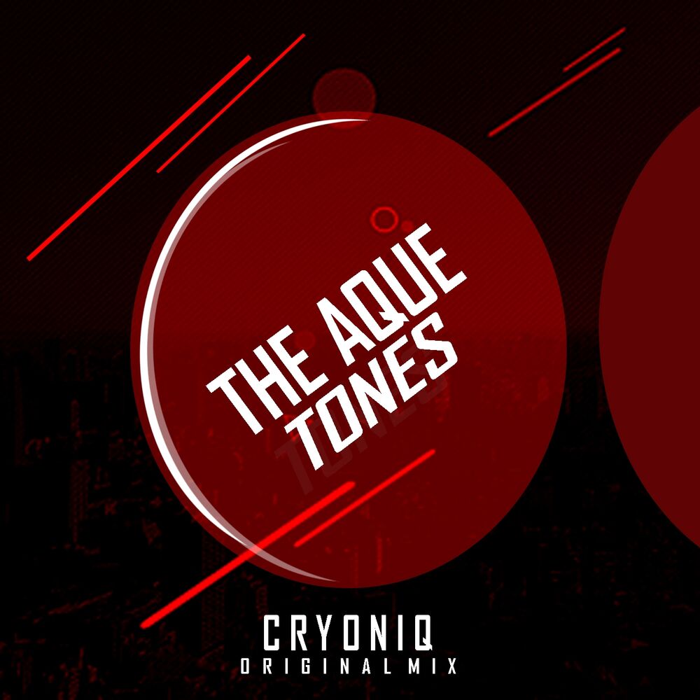 Picture of The Aquetones