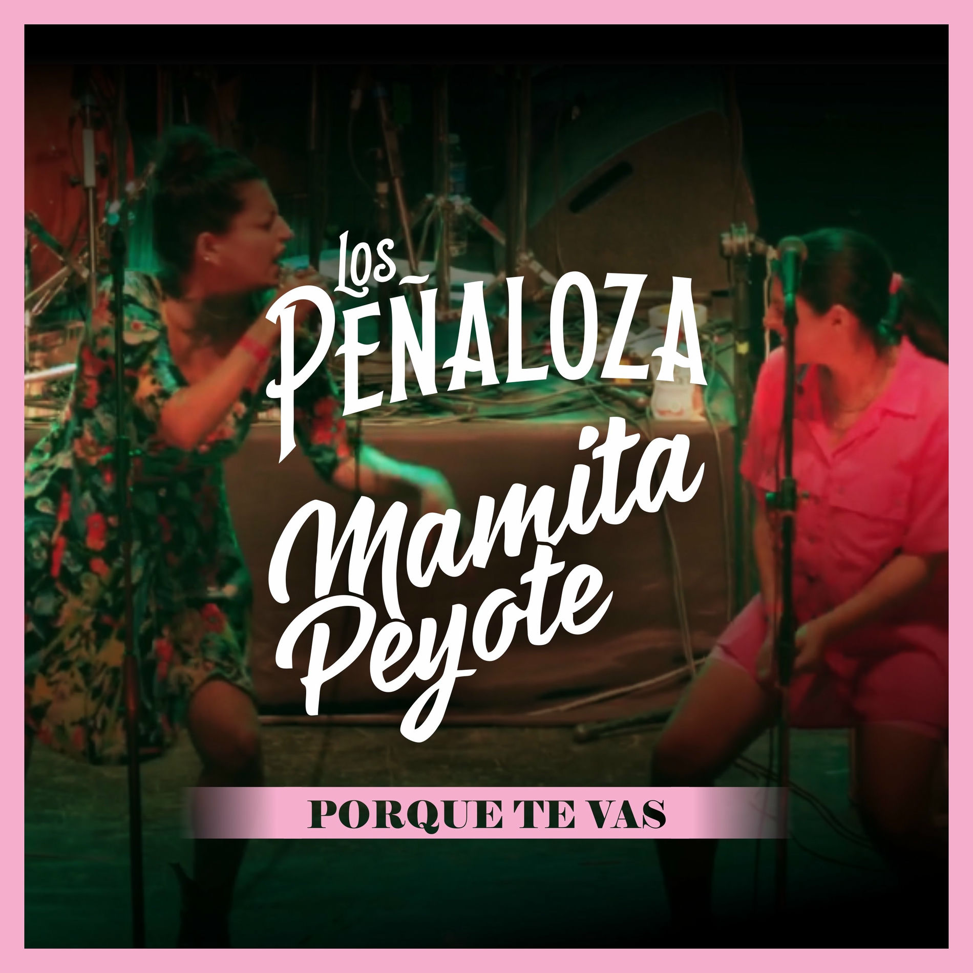 Album cover of Porque Te Vas