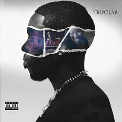 Cover of Tripolar