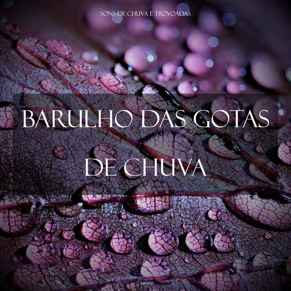 Album cover of Barulho das Gotas de Chuva, Pt. 01