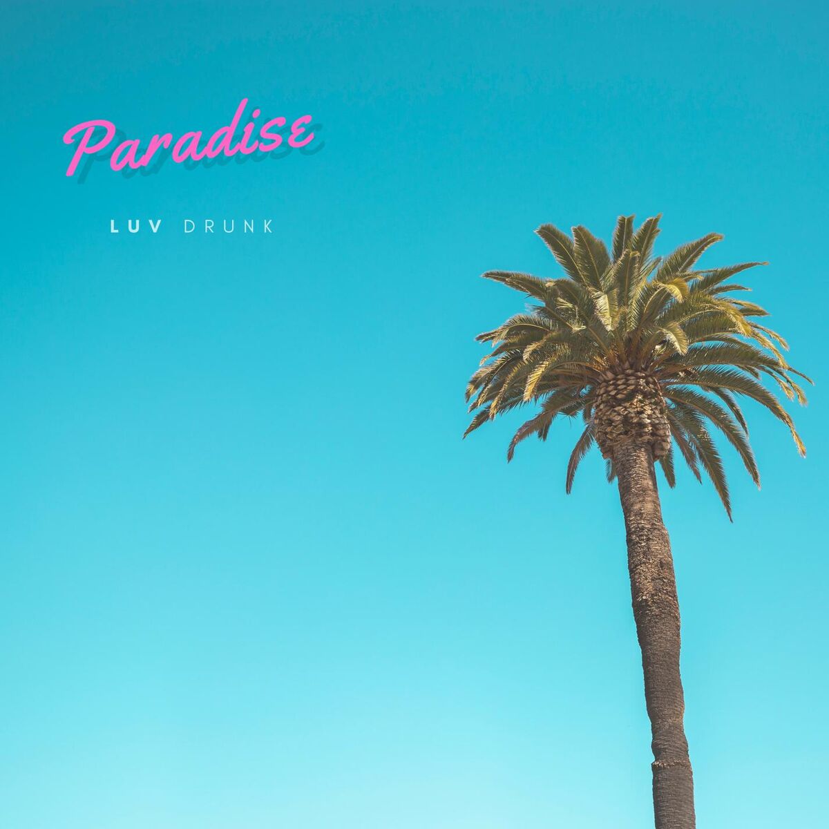 Album cover of Paradise
