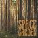 Something Ends, Something Begins by Space Garden album cover
