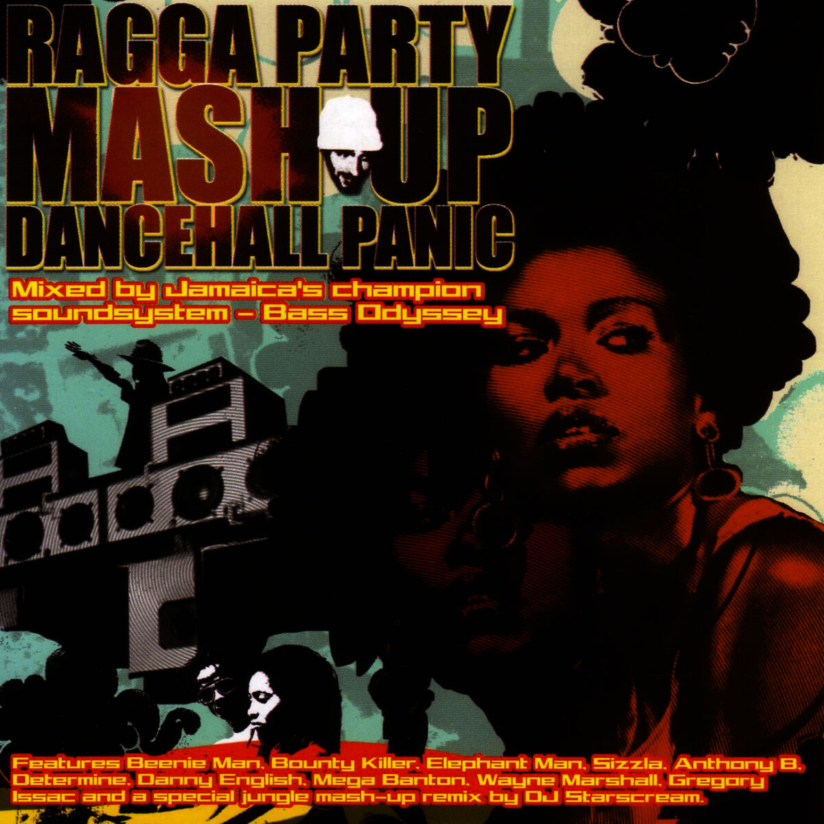 Album cover of Ragga Party Mash Up