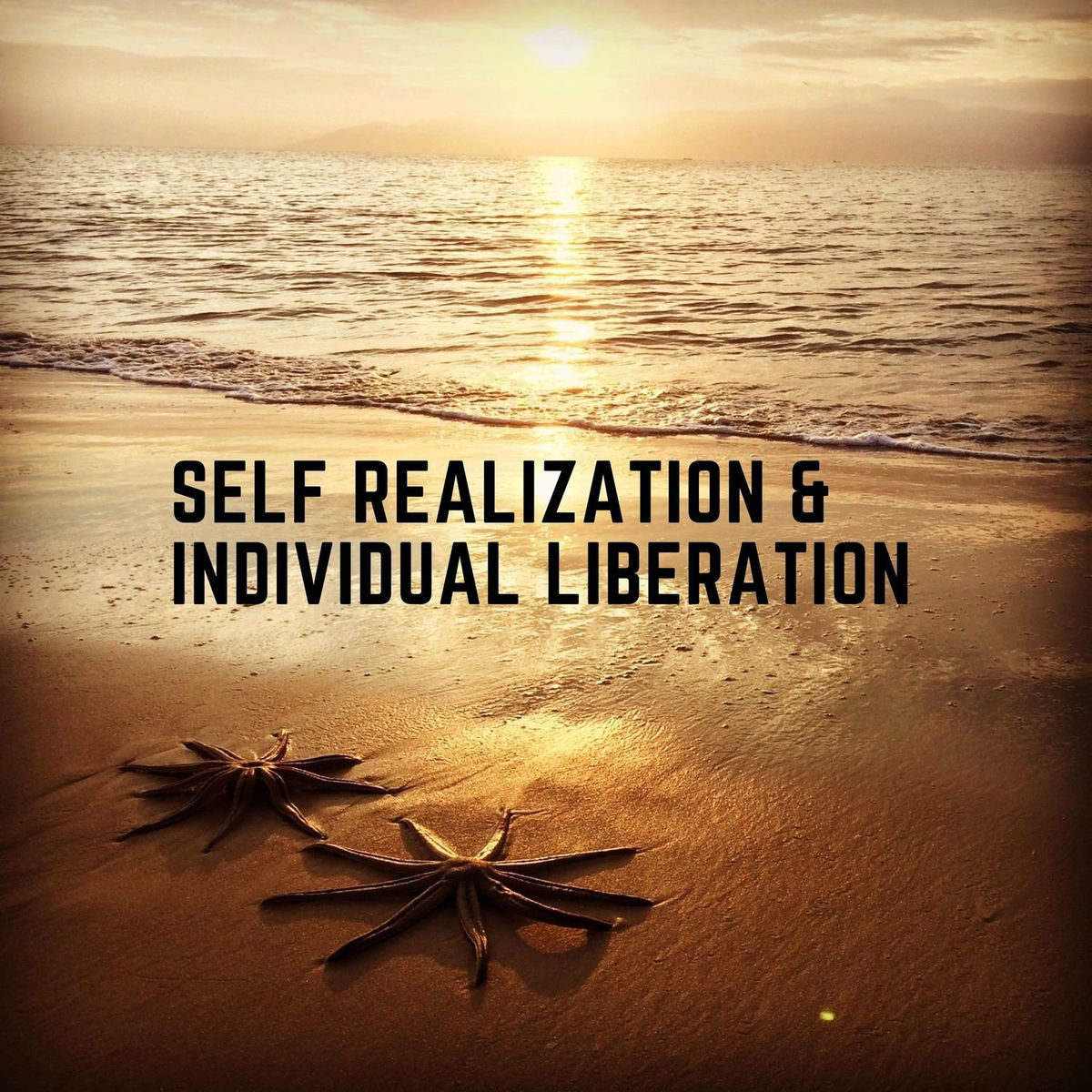 Album cover of Self Realization & Individual Liberation
