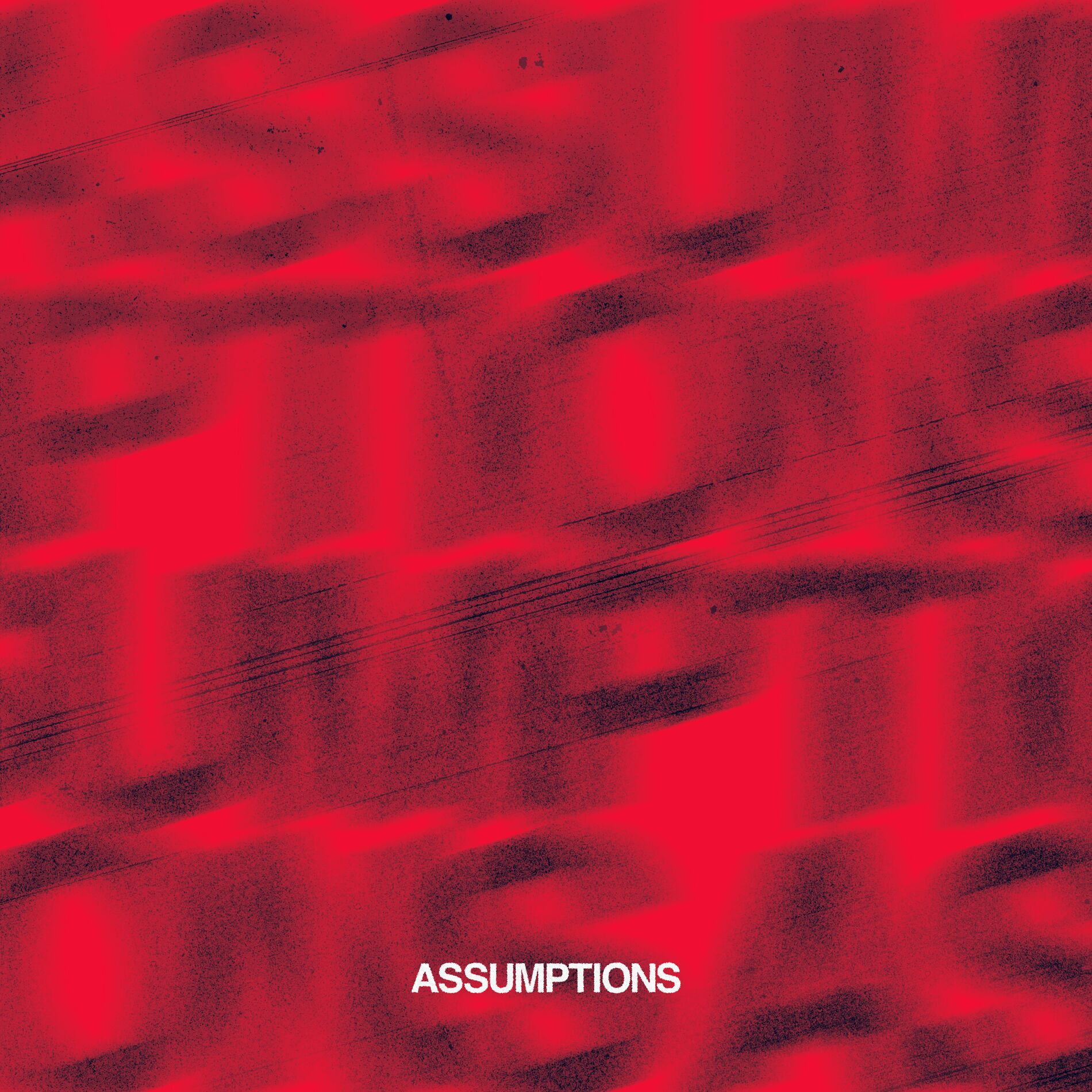 Album cover of Assumptions