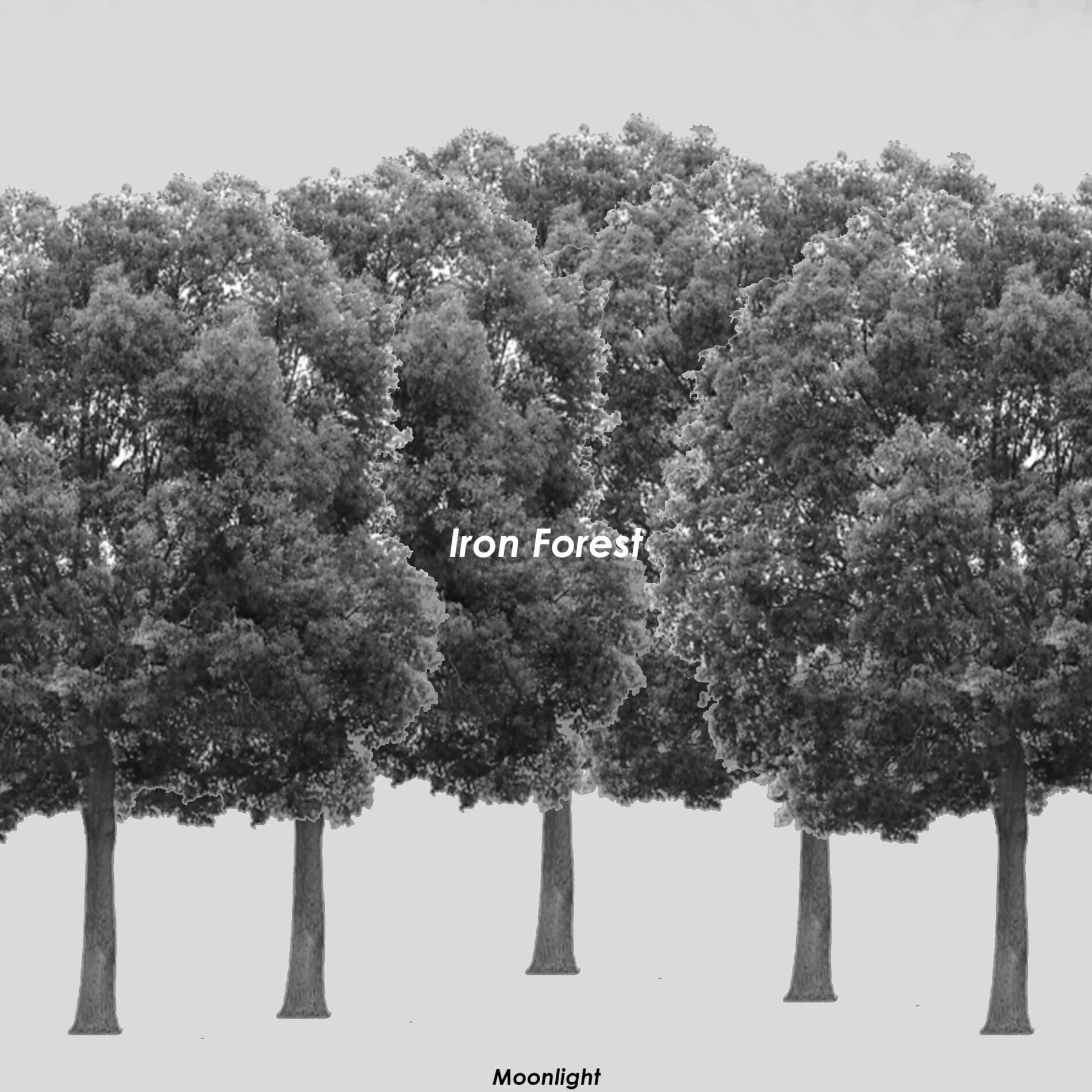 Album cover of Iron Forest
