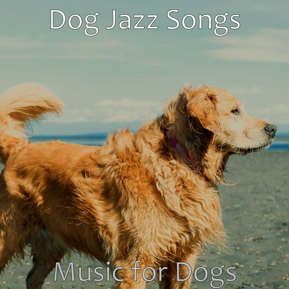 Picture of Music for Dogs