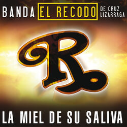 Cover of La Miel De Su Saliva