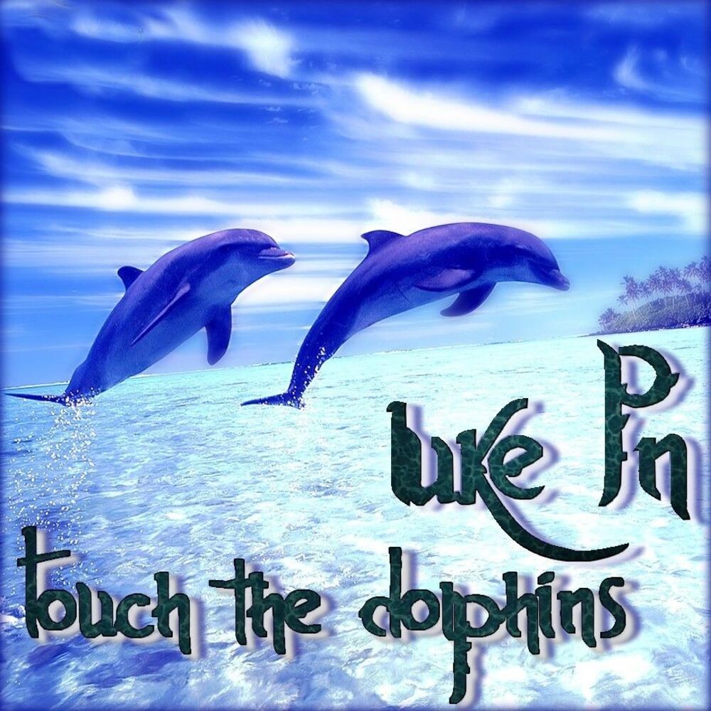 Picture of Touch The Dolphins
