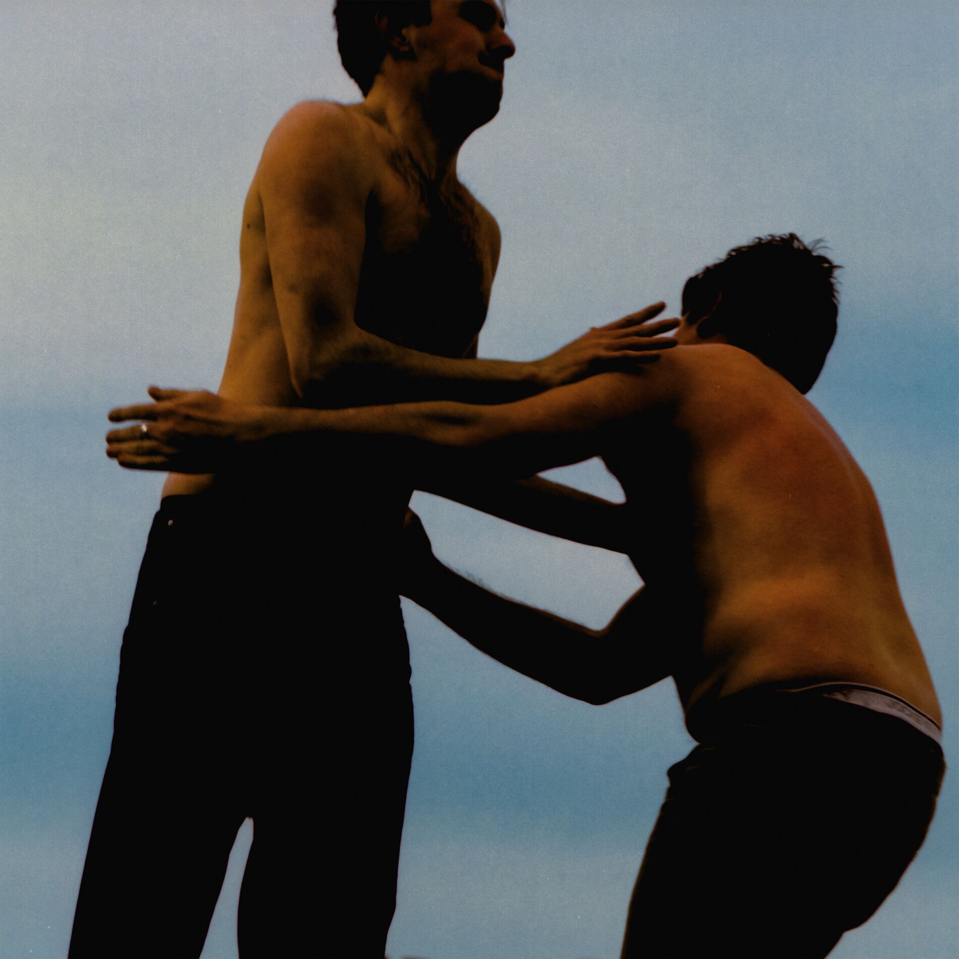 Album cover of Elephant