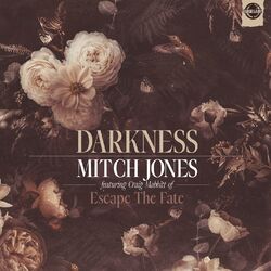 Cover of Darkness (feat. Craig Mabbitt)