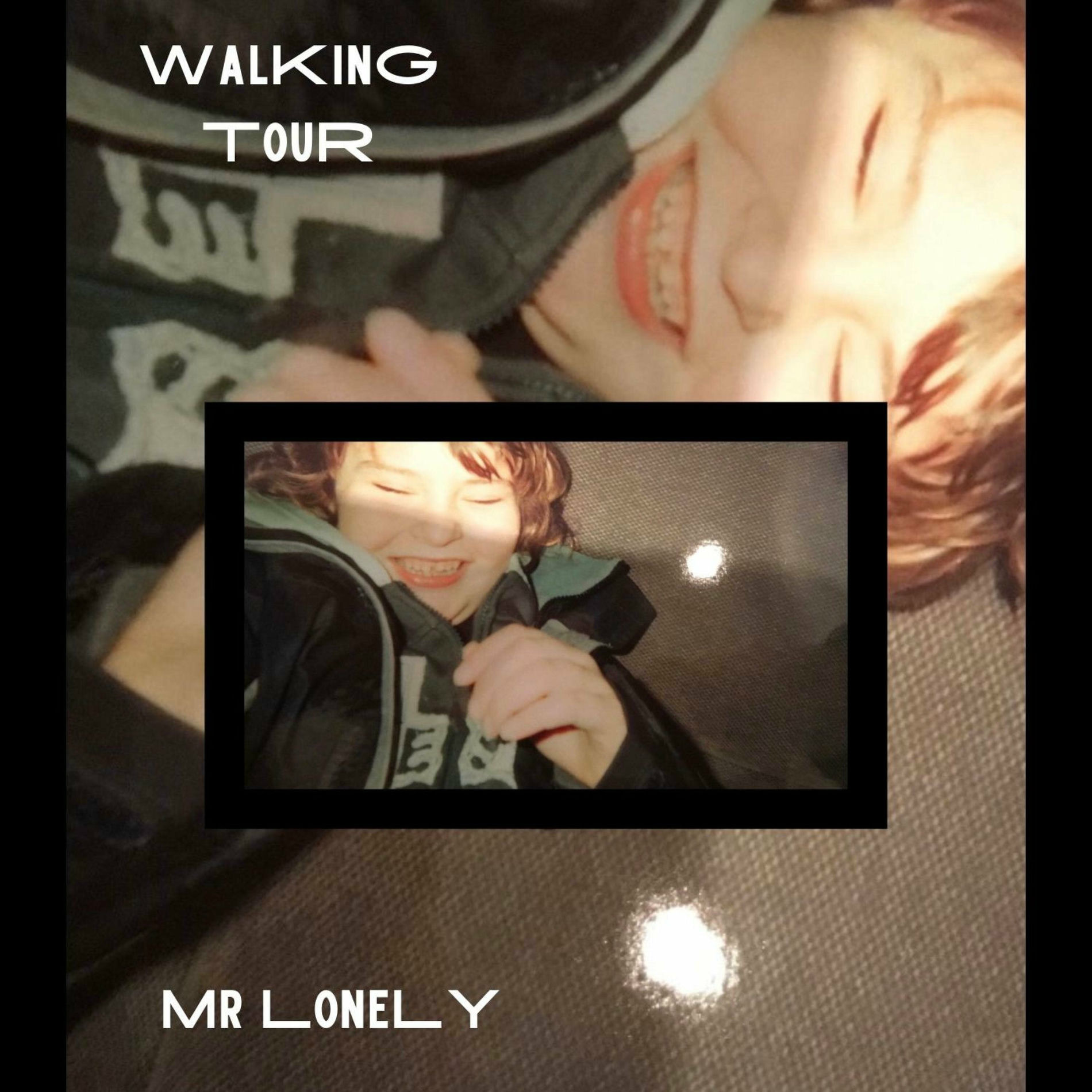Album cover of Mr Lonely (Live from the Fat Albert Hall) (feat. Seb)