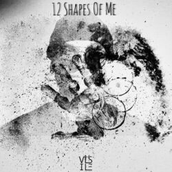 Cover of 12 Shapes of Me